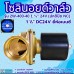 โซลินอยด์วาล์ว 24V รุ่น 2w-400-40 ( 1 1/2”) ยี่ห้อเบนซี